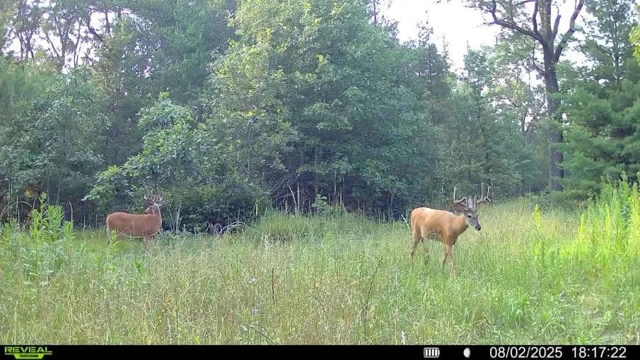 117± Acres of Irrigated Farmland and Trophy Whitetail Habitat - Friendship, Wisconsin, 53934