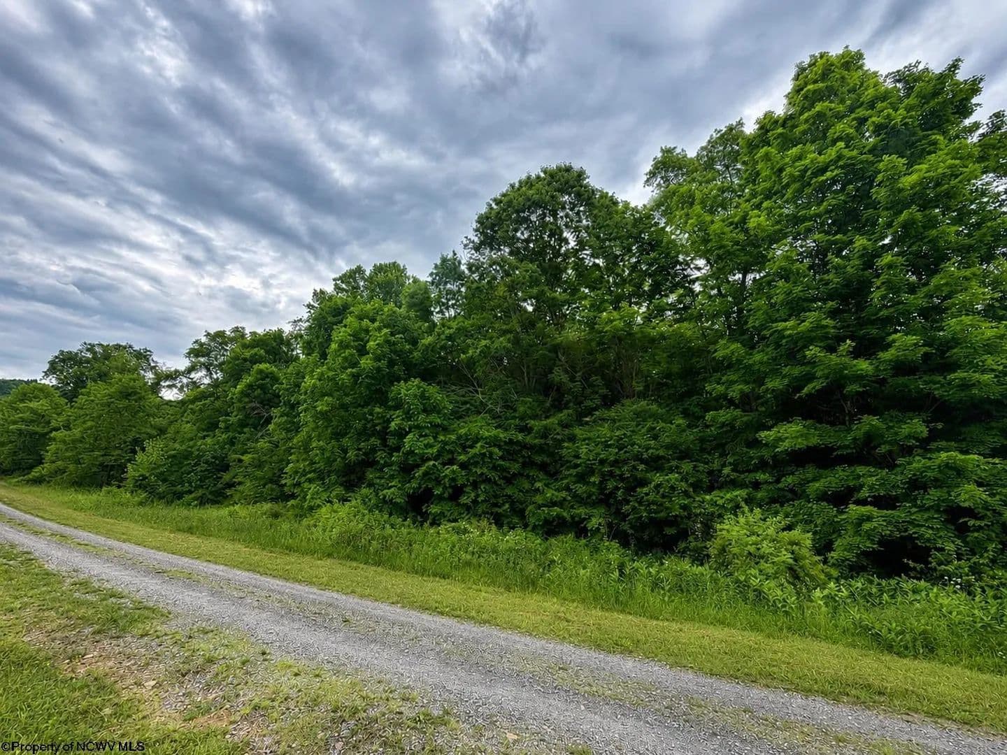 2 Acres of Land for Sale in Dryfork, West Virginia - Dryfork, West Virginia, 26263