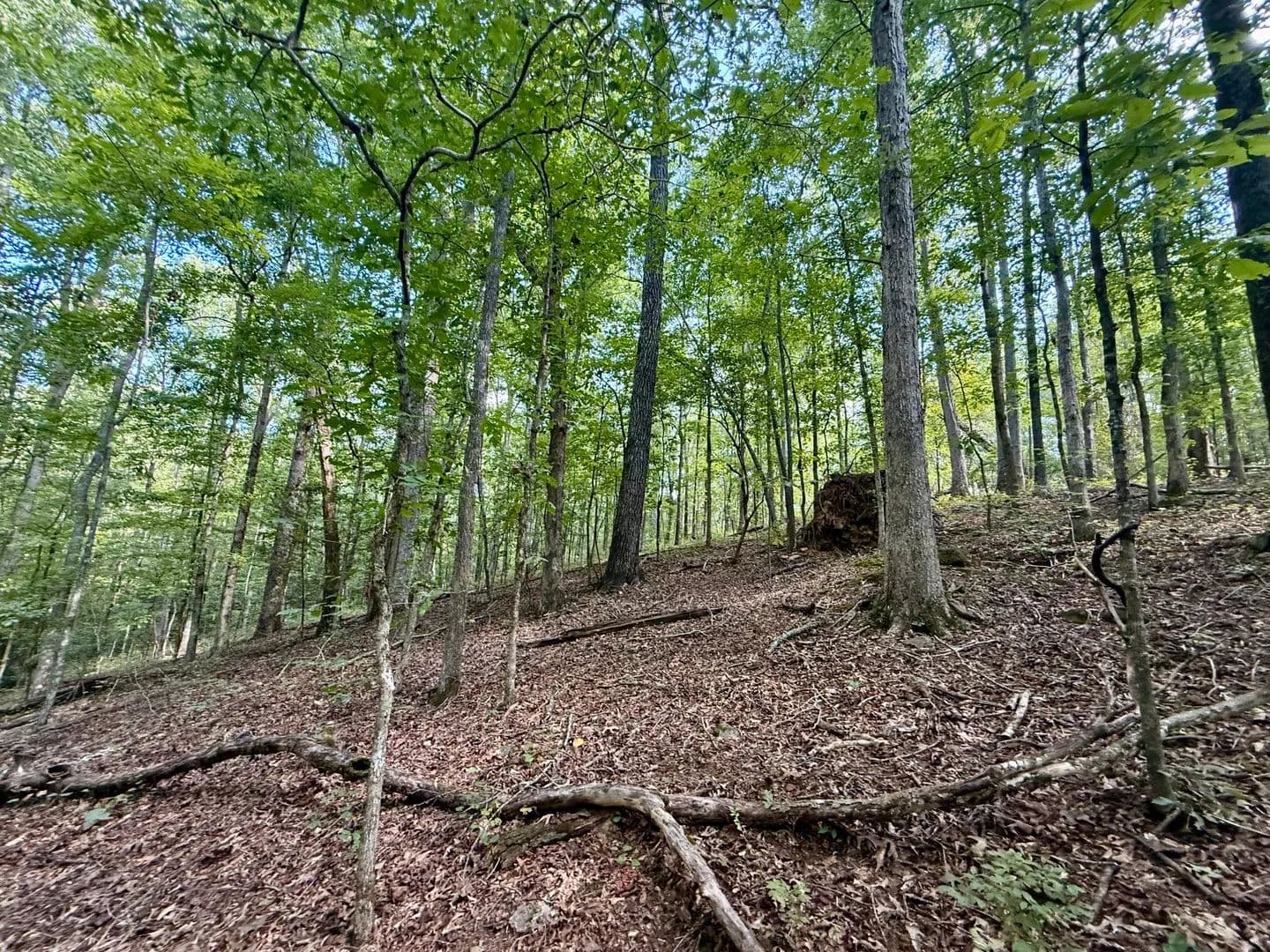 6.85+/- acres on Metcalf Creek - Ashland, Alabama, 36251