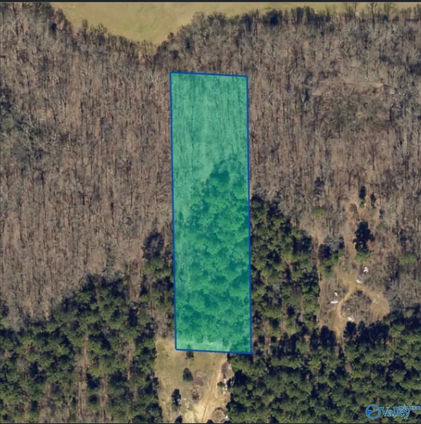 Lots & Land-Other in Town Creek