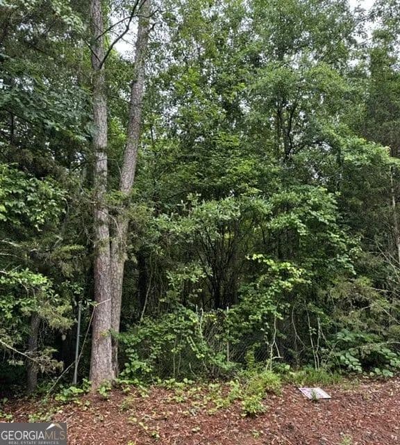 Property from 0 Lewis Lot 17 Drive - KW - Lavonia, Georgia, 30553