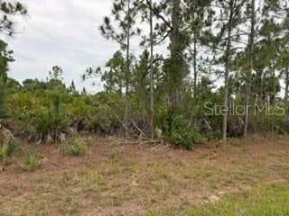 Vacant Land in Port Charlotte - Port Charlotte, Florida, 33981