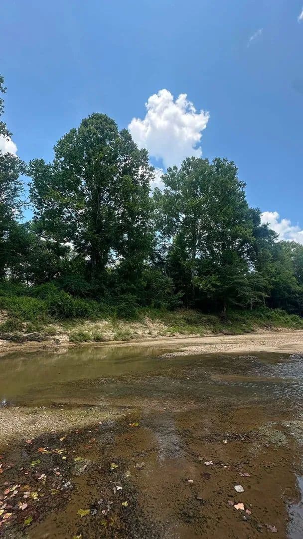 29.3± Acres in Franklin County, MS – Ideal Hunting Camp with Creek Frontage - Roxie, Mississippi, 39661