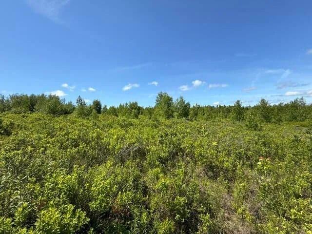45 Acres of Land for Sale in Meddybemps, ME - Meddybemps, Maine, 04657