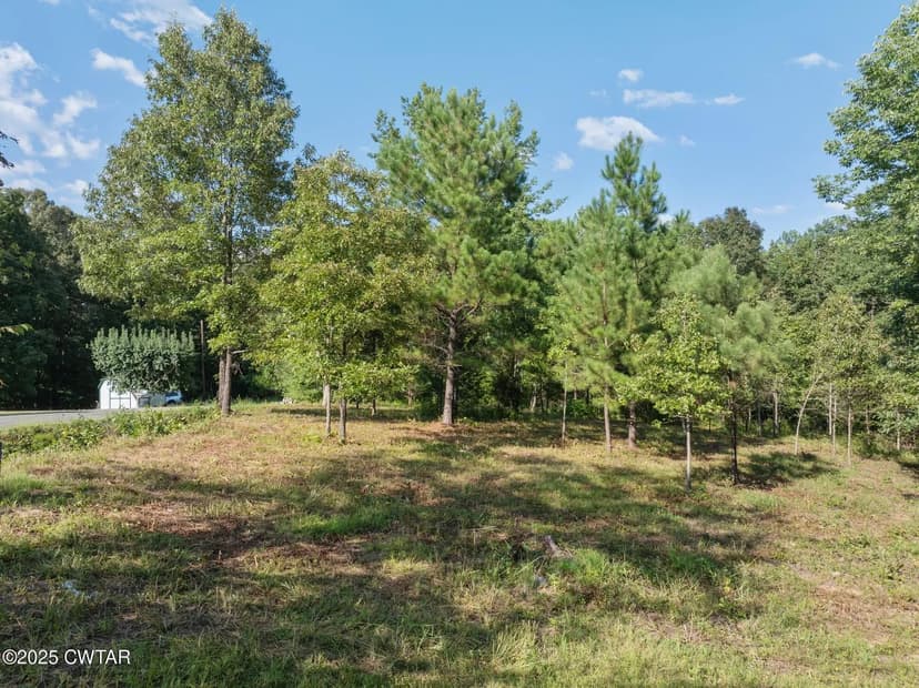 Lots & Land-Other in Cedar Grove