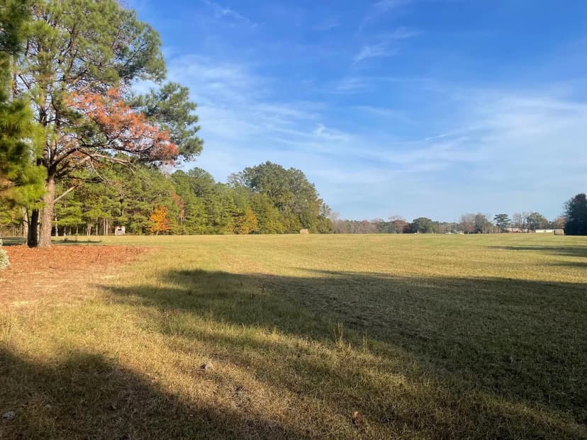 62 +/- acres Dallas Co AL