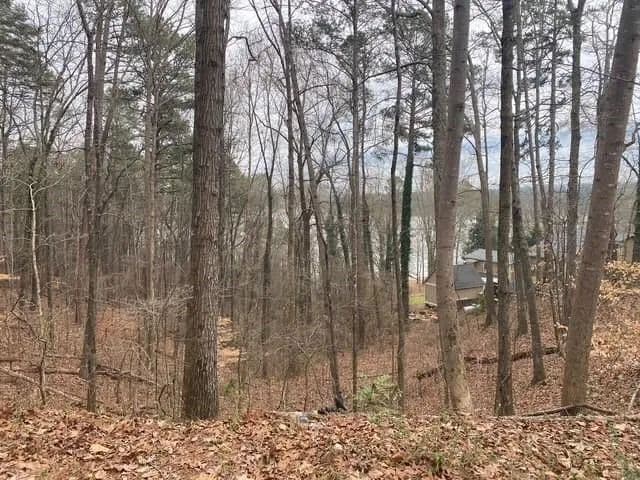 Vacant Land in Cartersville