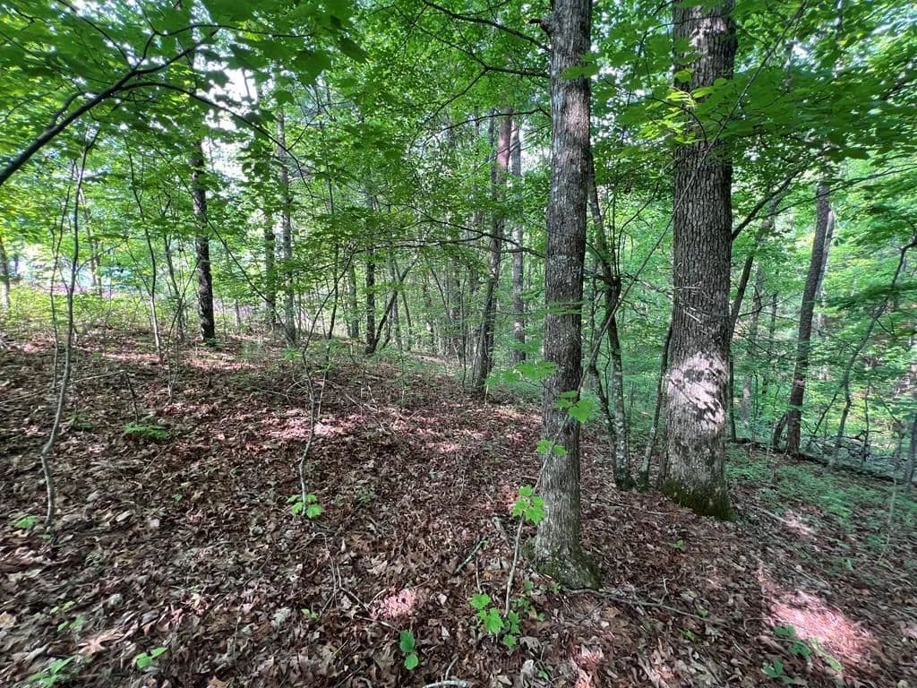 Lots & Land-Other in Murphy - Murphy, North Carolina, 28906