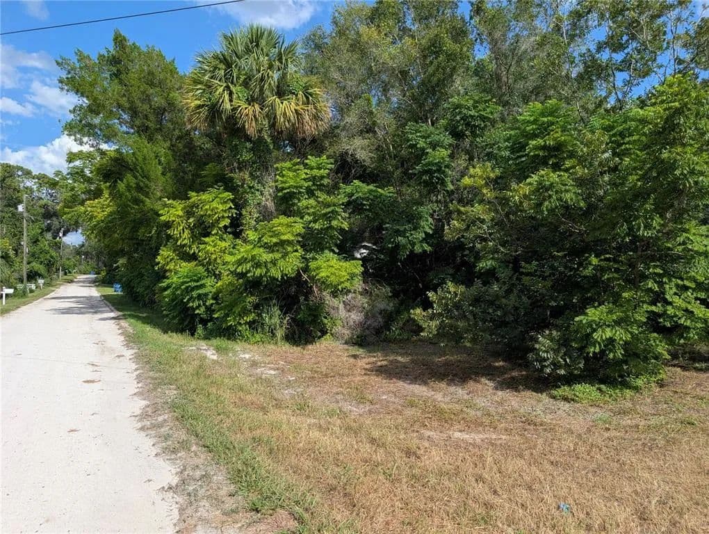 Vacant Land in Deland - Deland, Florida, 32724