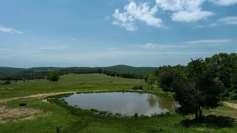 National Forest 40-acre Farm in Chester, AR