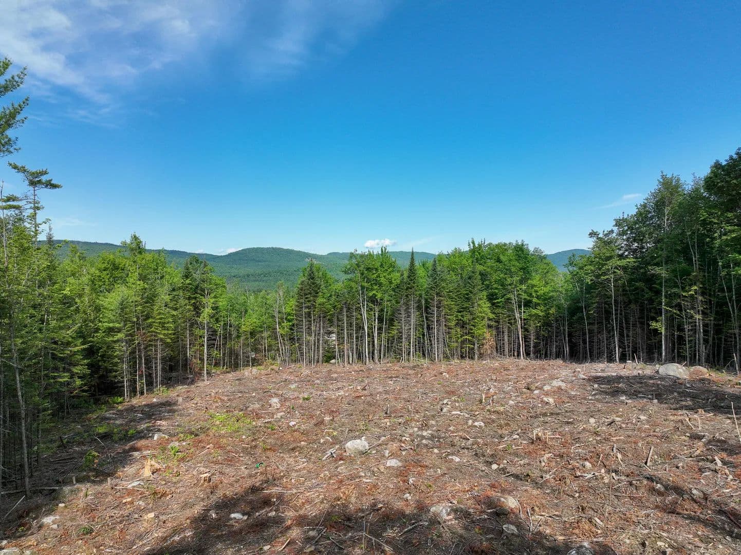 1.16 Acres of Land for Sale in Dixfield, ME - Dixfield, Maine, 04224