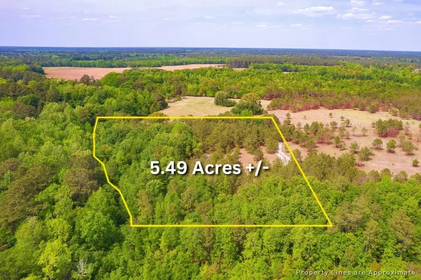 Vacant Land in Manning