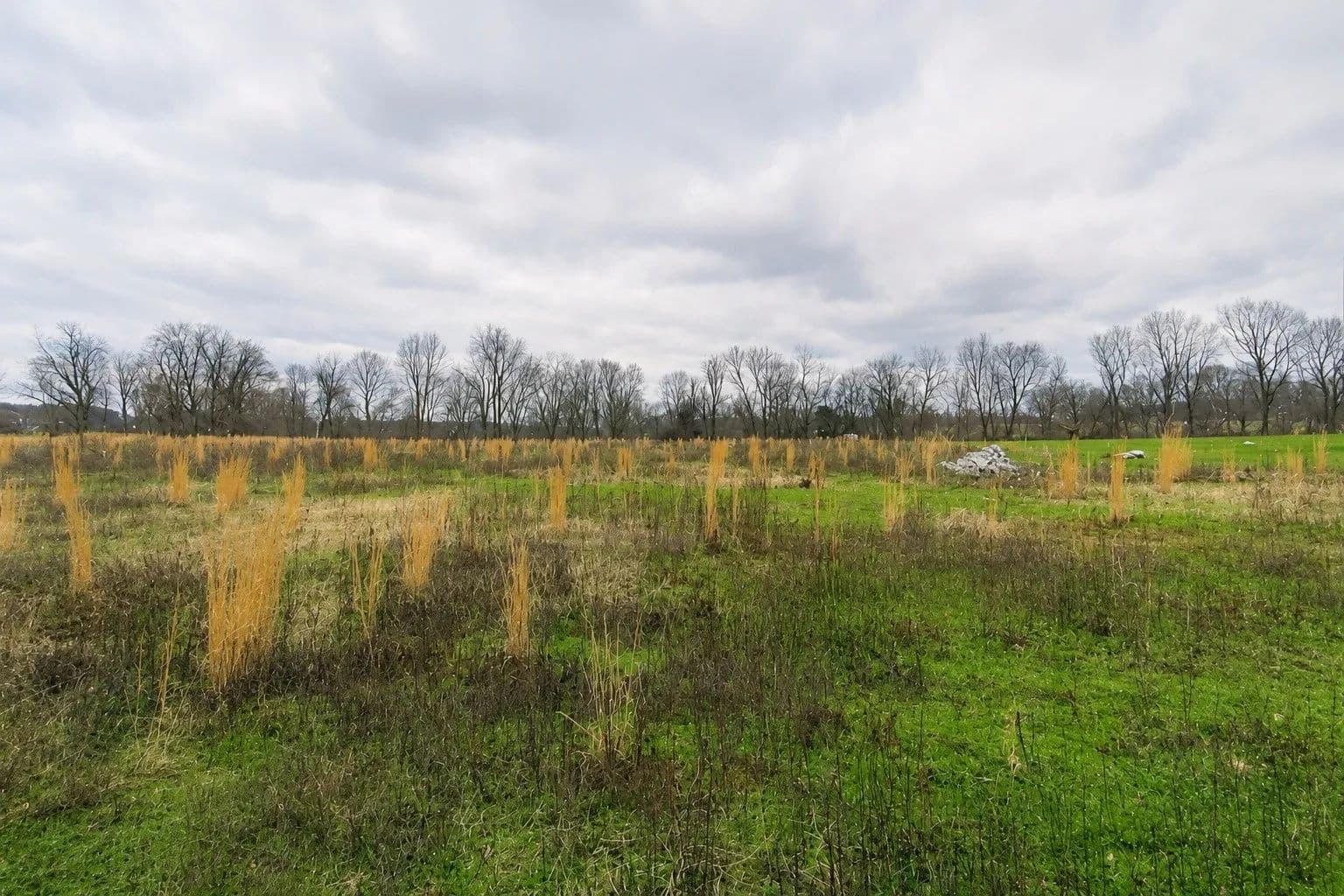 Vacant Land in Westmoreland - Westmoreland, Tennessee, 37186