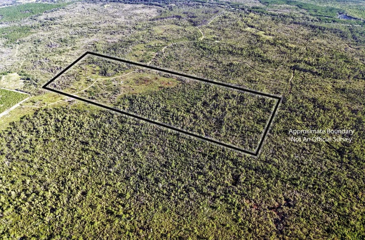 Blank Slate 50 - Mayo, Florida, 32066