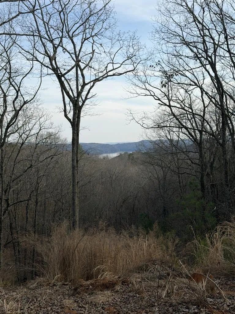Lots & Land-Other in Ellijay - Ellijay, Georgia, 30540