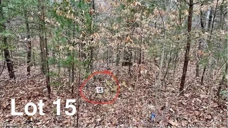 Vacant Land in Stuart - Stuart, Virginia, 24171