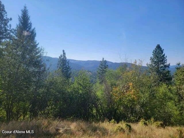 Vacant Land in Smelterville - Smelterville, Idaho, 83868