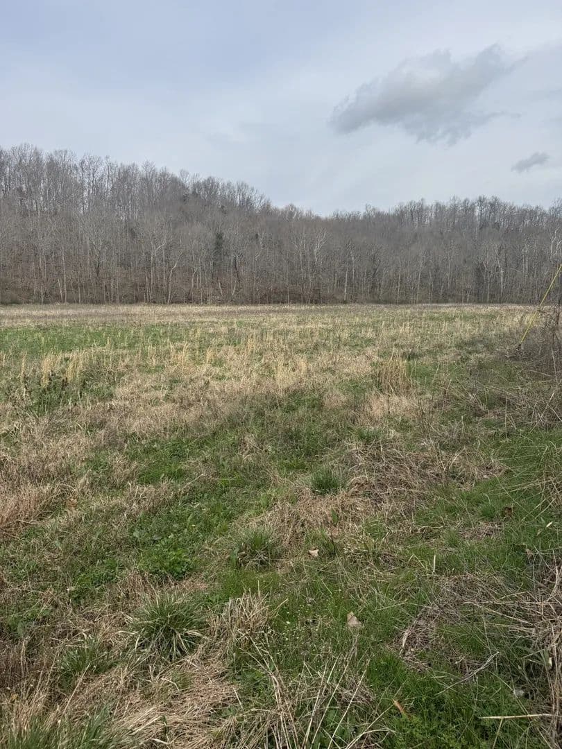 Lots & Land-Other in Lafayette - Lafayette, Tennessee, 37083