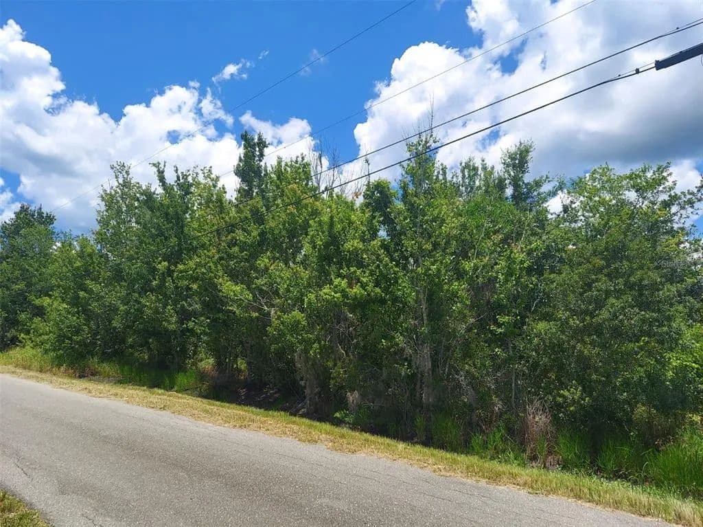 Vacant Land in Plant City - Plant City, Florida, 33565