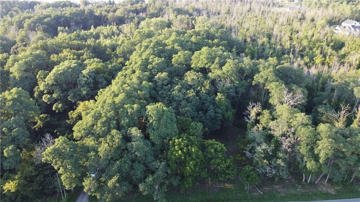 Lots & Land-Other in Webster - land for sale