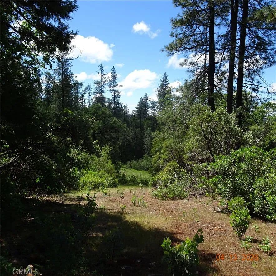 6.75 Acres of Land for Sale in Oroville, California - land for sale