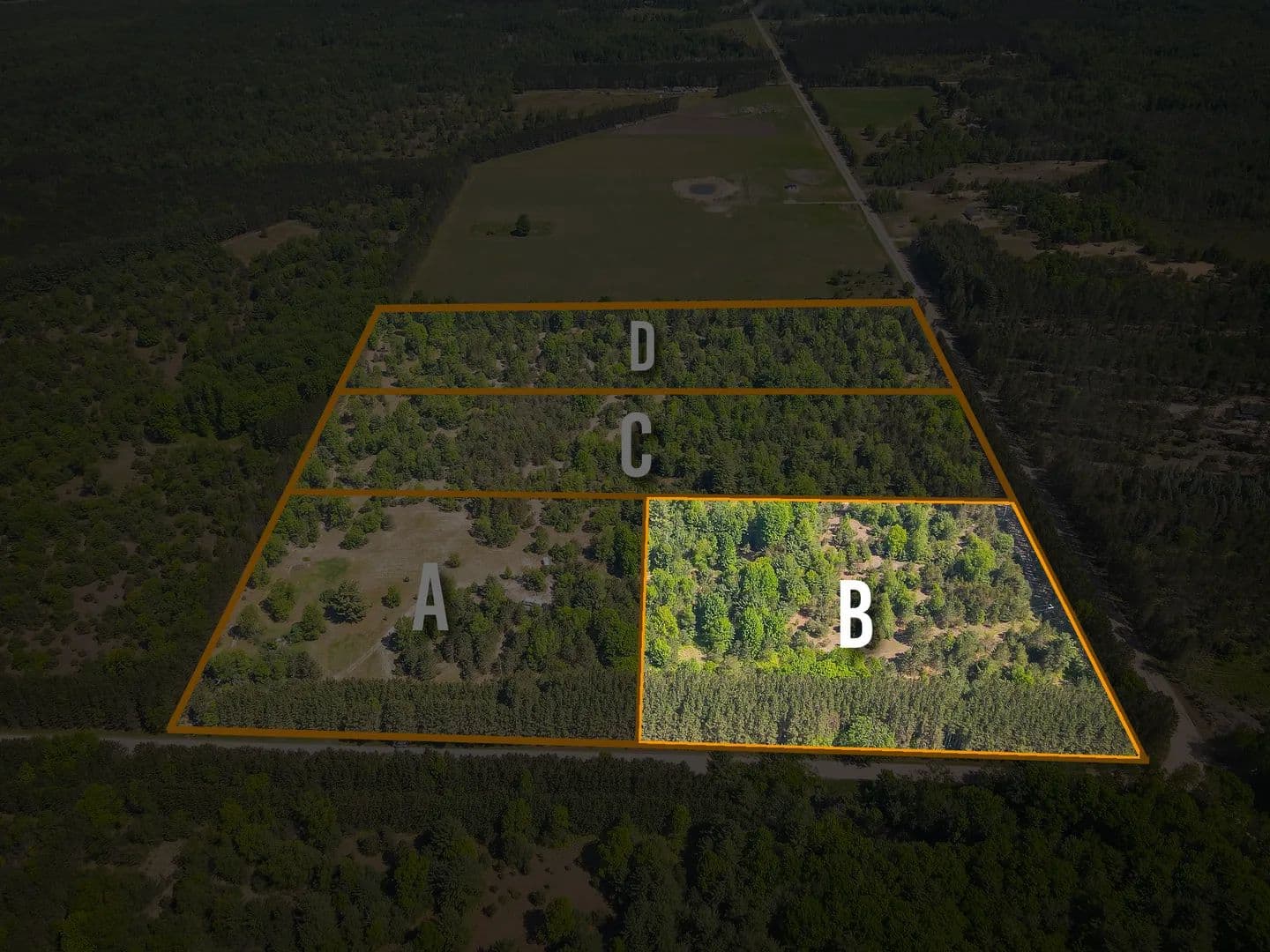 Vacant Land (0-10 Acres) in Kaleva - Kaleva, Michigan, 49645
