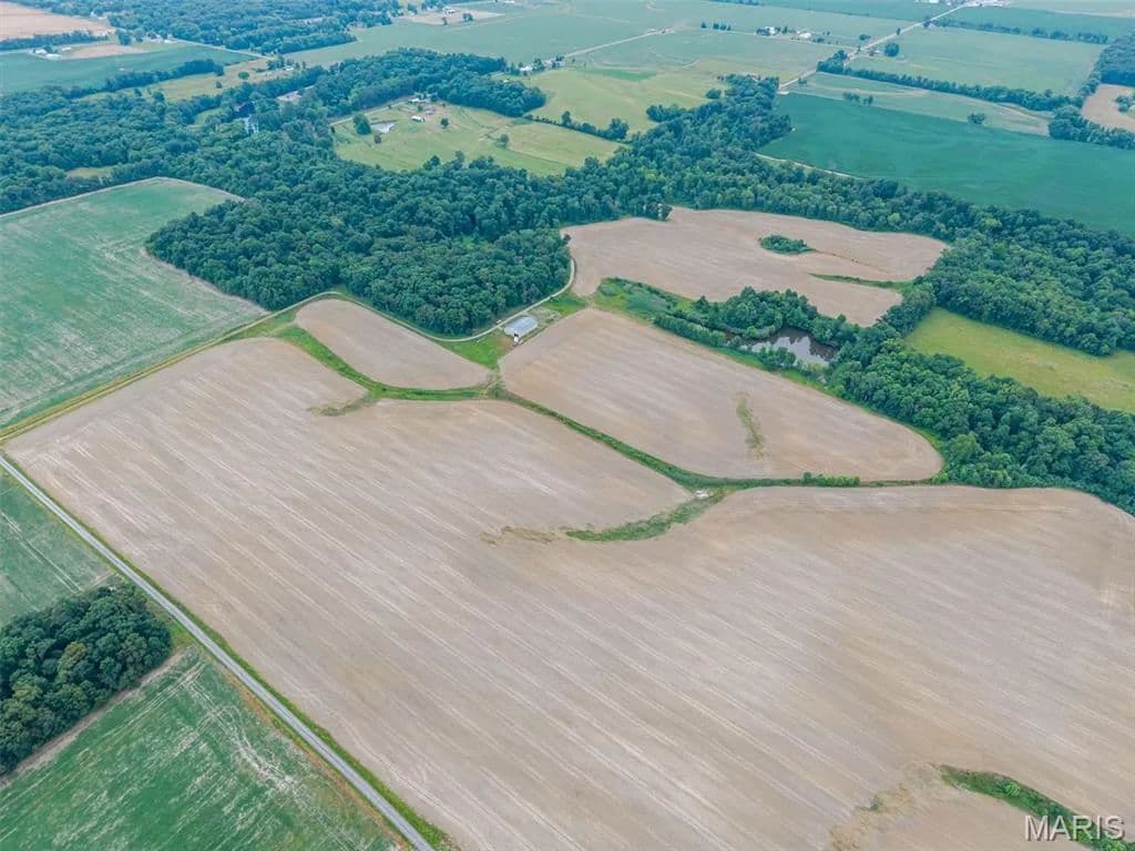 82 Acres of Land for Sale in Mount Vernon, IL - Mount Vernon, Illinois, 62864