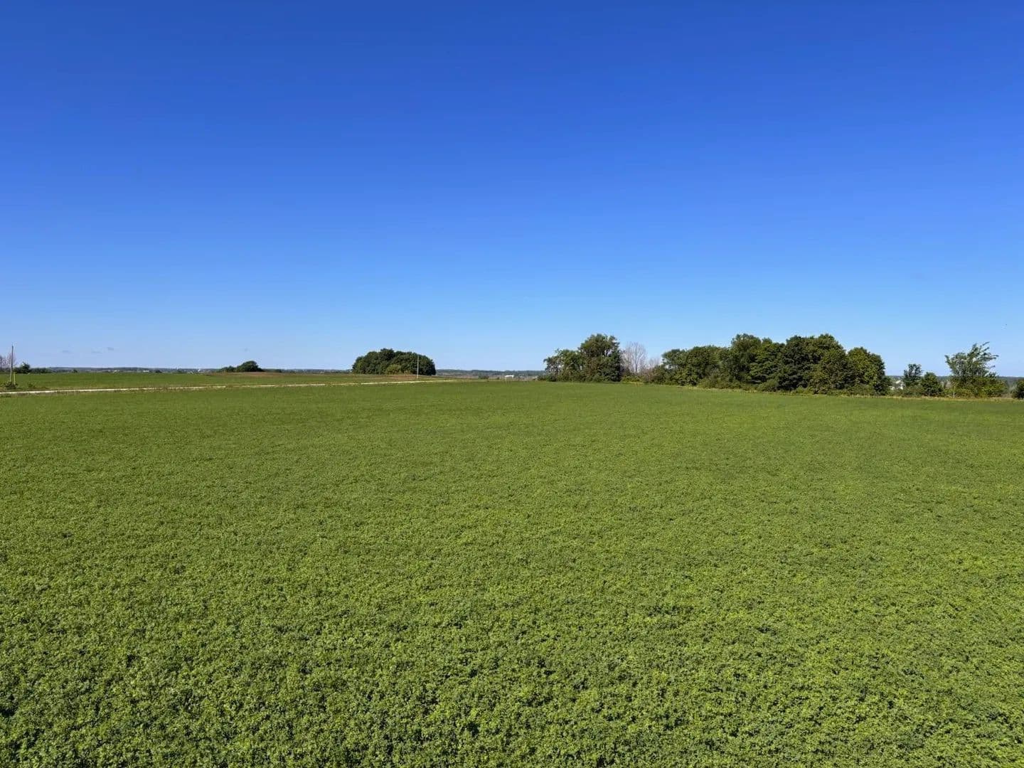 8.51 Acres of Land for Sale in Luxemburg, Wisconsin - Luxemburg, Wisconsin, 54217
