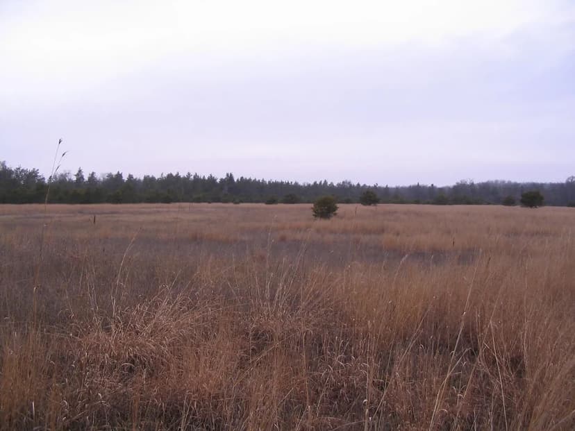 Vacant Land (0-10 Acres) in Roscommon