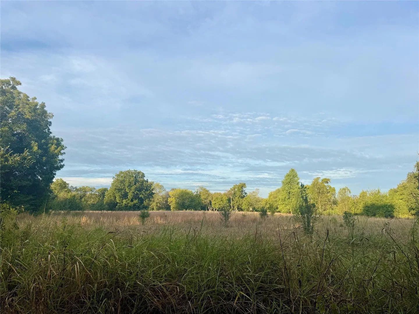 Land -Single Family Acreage in Deport - Deport, Texas, 75435