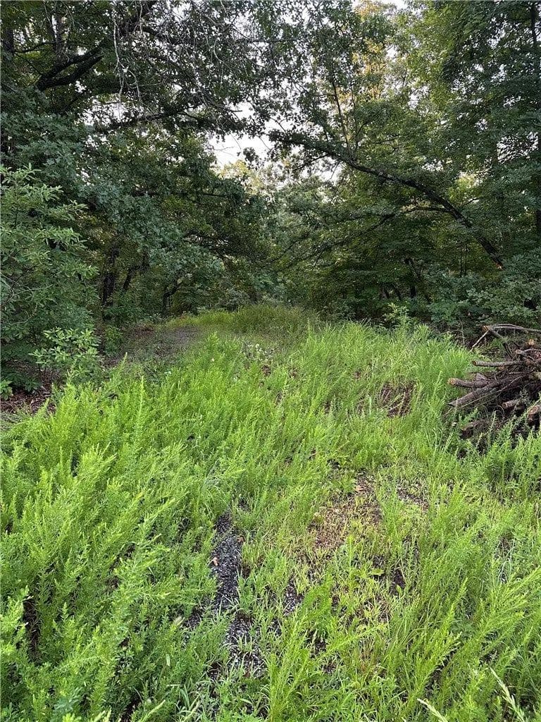 Lots & Land-Other in Bella Vista - Bella Vista, Arkansas, 72714