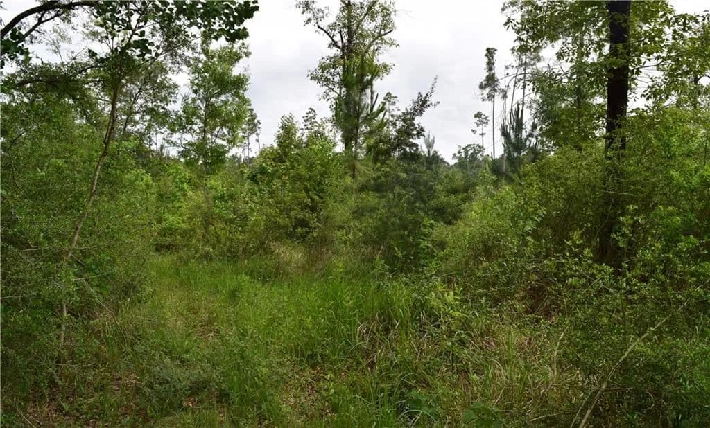 5 Acres of Land for Sale in Grand Bay, AL - Grand Bay, Alabama, 36541