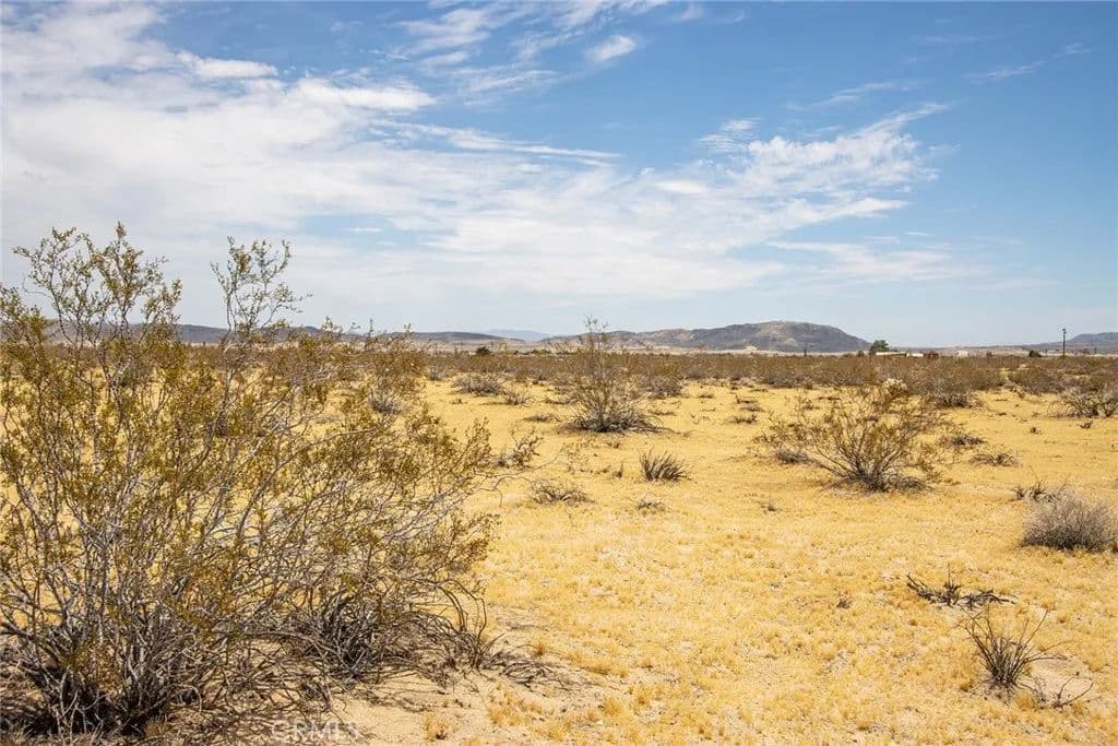 2.5 Acres of Land for Sale in Joshua Tree, CA - Joshua Tree, California, 92252