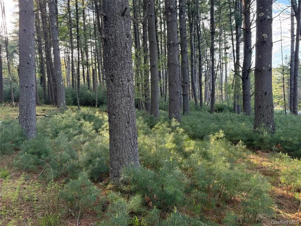 Land -Single Family Acreage in Eldred - Eldred, New York, 12732