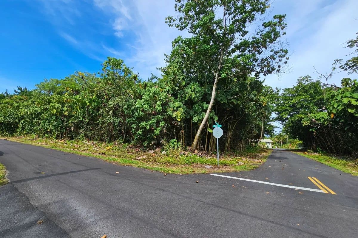 Vacant Land in Pahoa - Pahoa, Hawaii, 96778