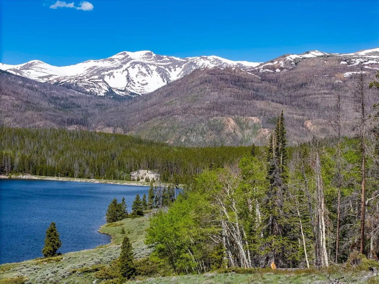 Property from 0 W Highway 14 - KW - Bellvue, Colorado, 80512