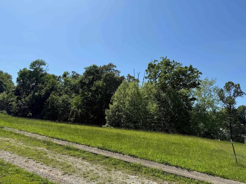Lots & Land-Other in flatwoods