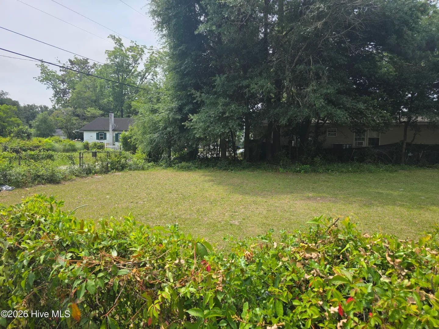 Property from 449 Clay Street - KW - Wilmington, North Carolina, 28405