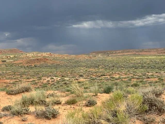 Land -Agricultural (Not Zoned) in Ballard - Ballard, Utah, 84066