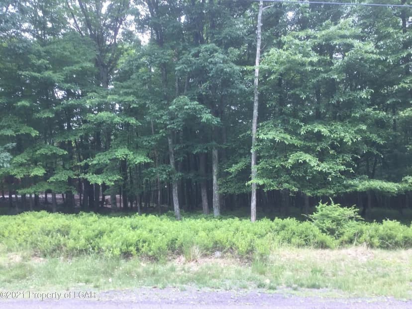 Lots & Land-Other in Hazle Twp