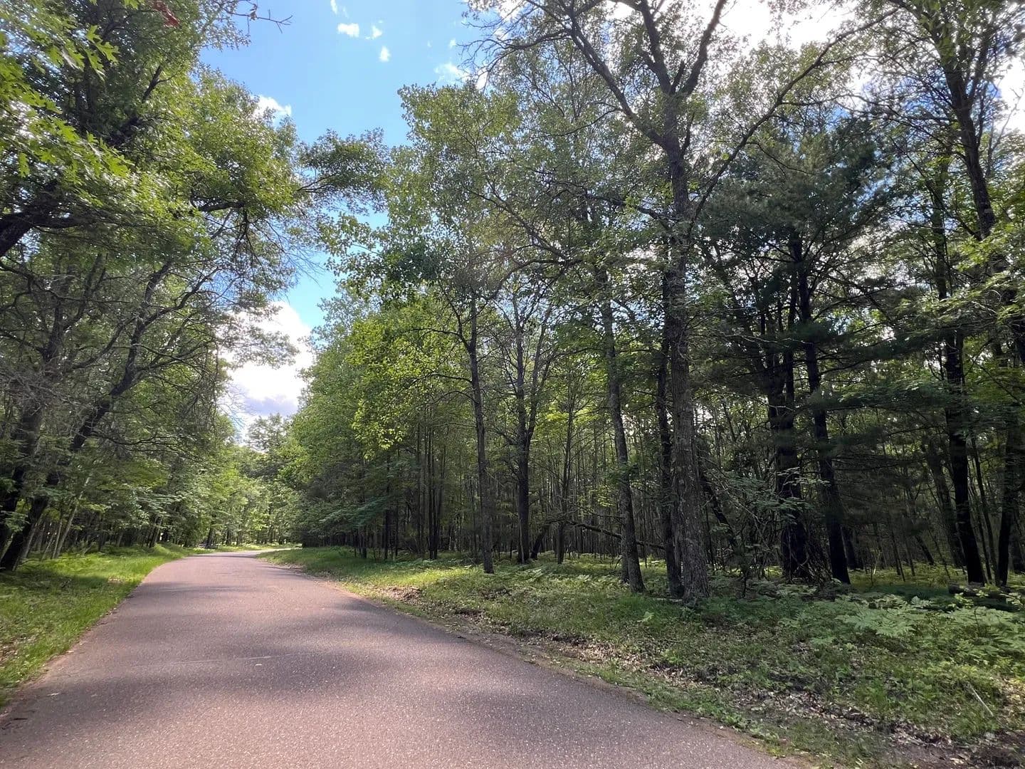 1.73 Acres of Land for Sale in Danbury, WI - Danbury, Wisconsin, 54830