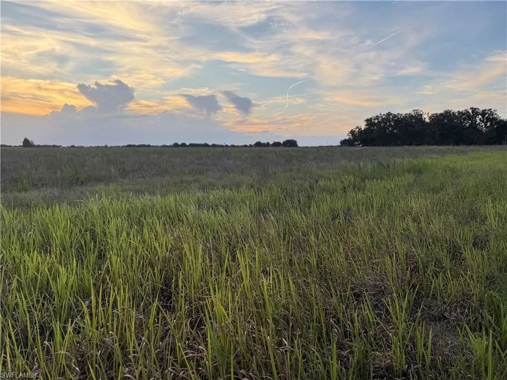 30.06 Acres of Land for Sale in Zolfo Springs, Florida - Zolfo Springs, Florida, 33890
