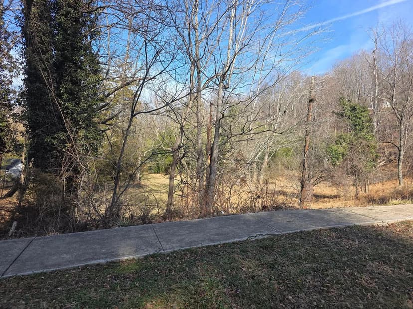 Vacant Land (0-10 Acres) in Lynchburg