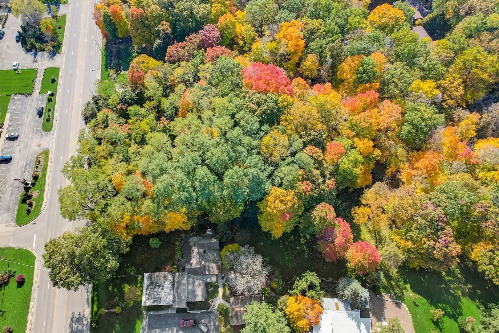 Vacant Land in Winthrop Harbor - Winthrop Harbor, Illinois, 60096