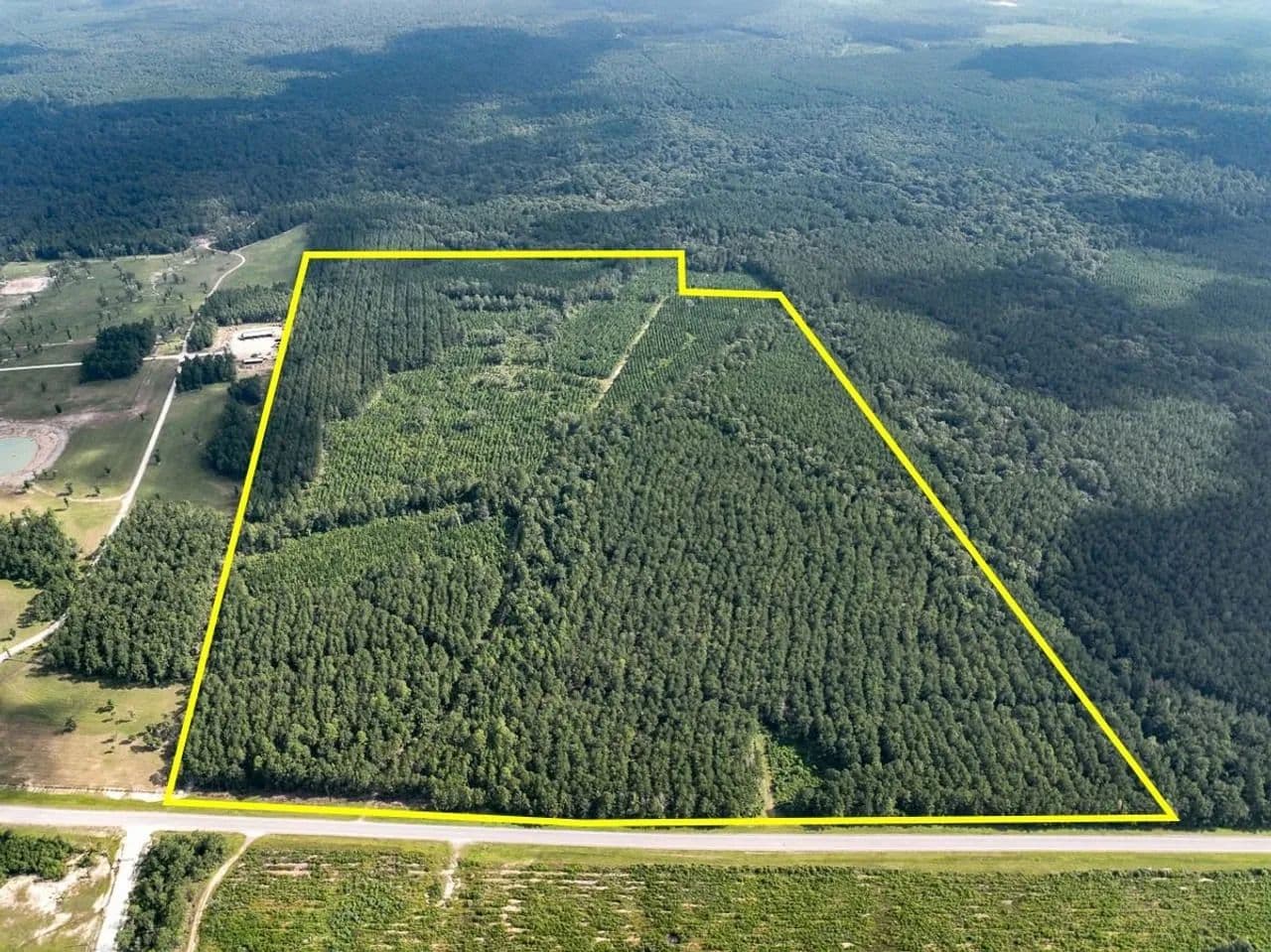 144 Acres | T-3 | FM 943 - Kountze, Texas, 77625