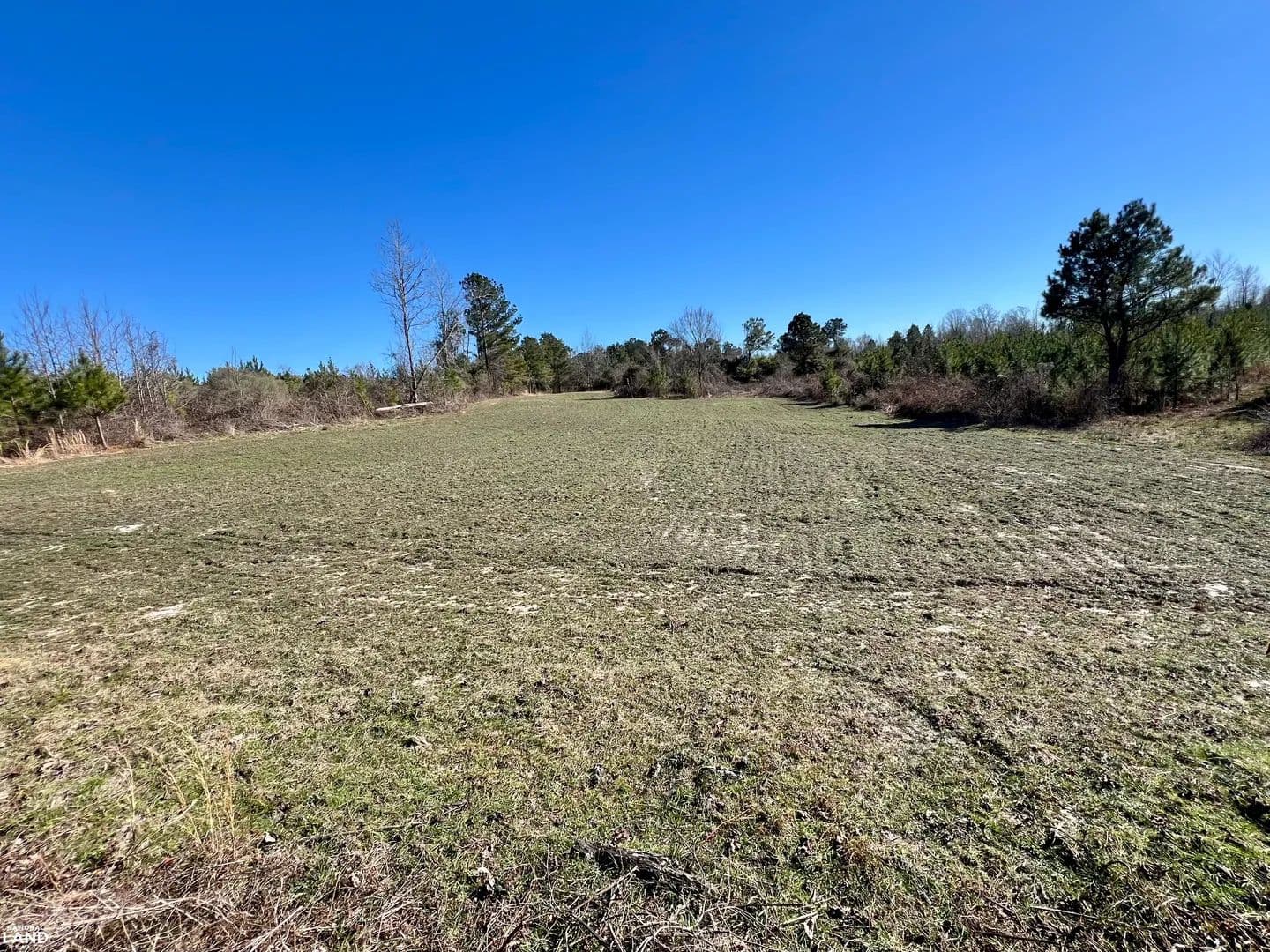 Mollie CR-32 Clear Creek Timber & Hunting Tract - Mollie, Alabama, 36535