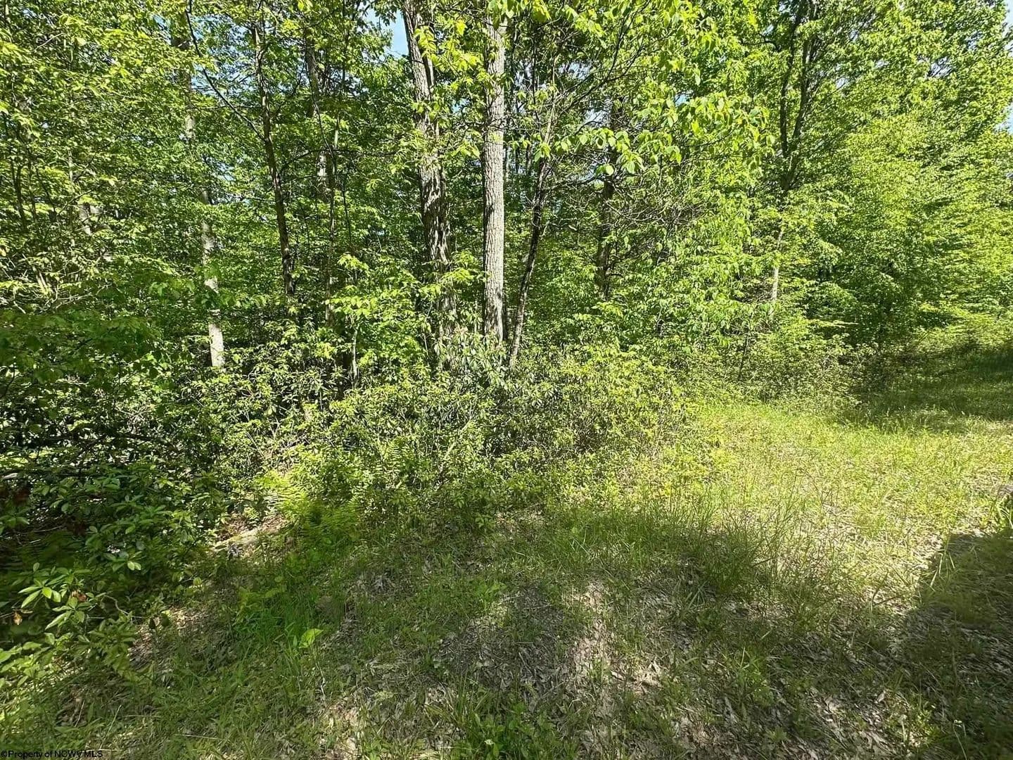 Property from Lot 65 Pine Drive - KW - Terra Alta, West Virginia, 26764