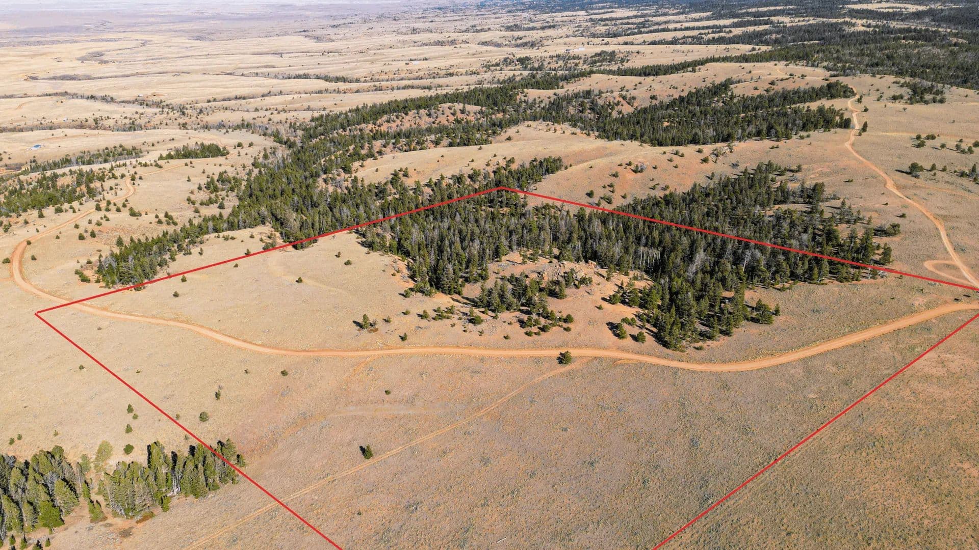 Wilderness Ranch 40 - Red Feather Lakes, Colorado, 80545