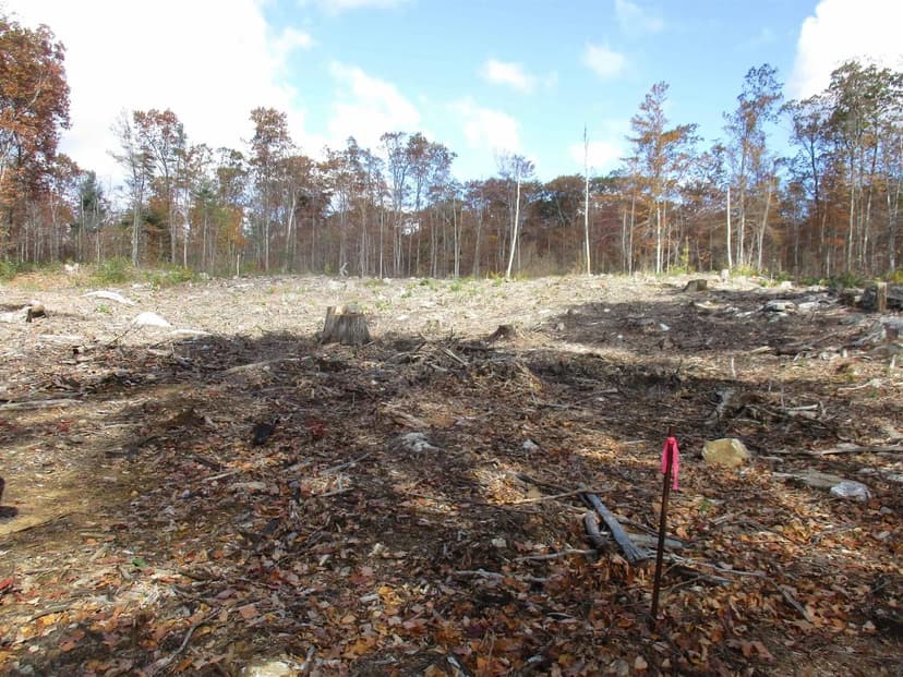 Vacant Land in Greenville