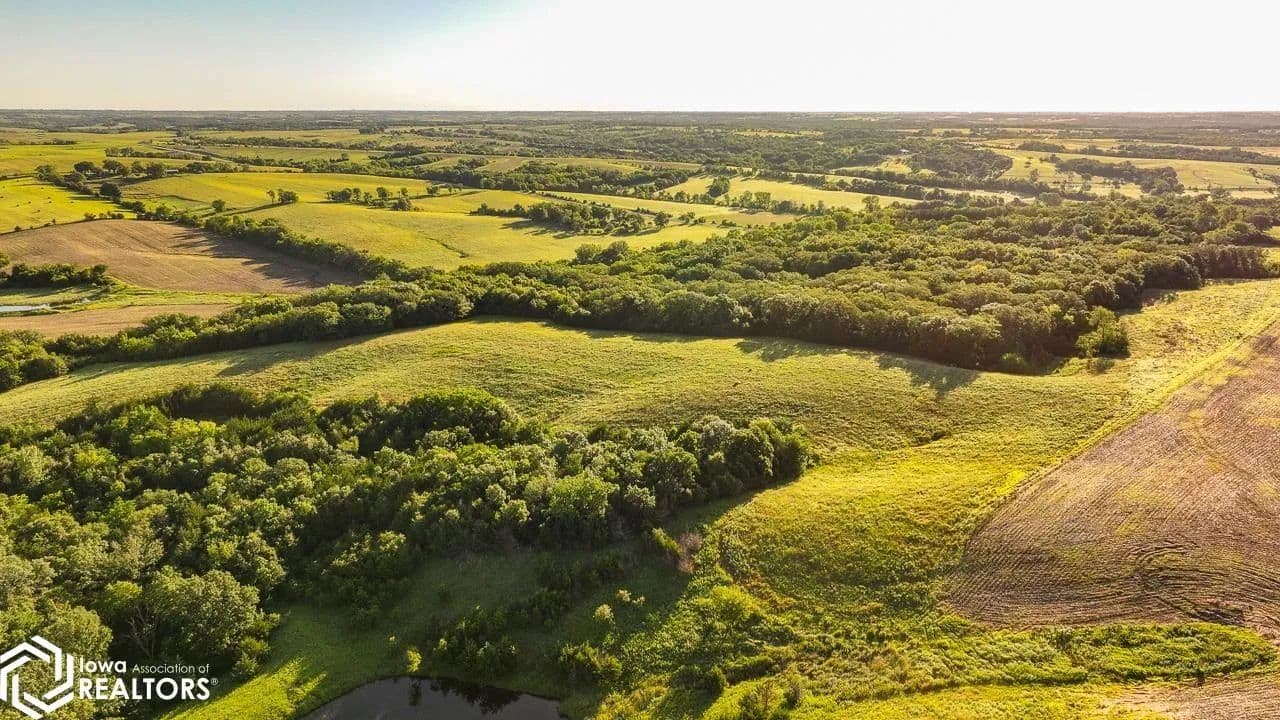 155.6 Acres of Land for Sale in Grand River, IA - land for sale